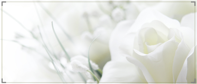 白い花の画像